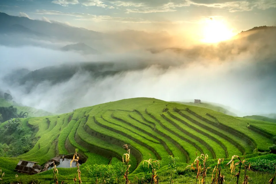 Kho gạo của Phạm Quốc Phòng