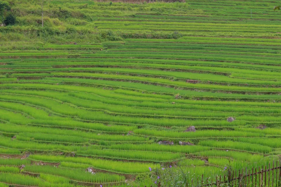 Kho gạo xếp bao
